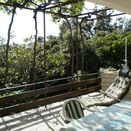 Pinezic Martinšćica