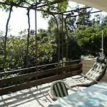 Pinezic Мартиншчица
