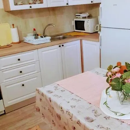 Pinezić Appartement *